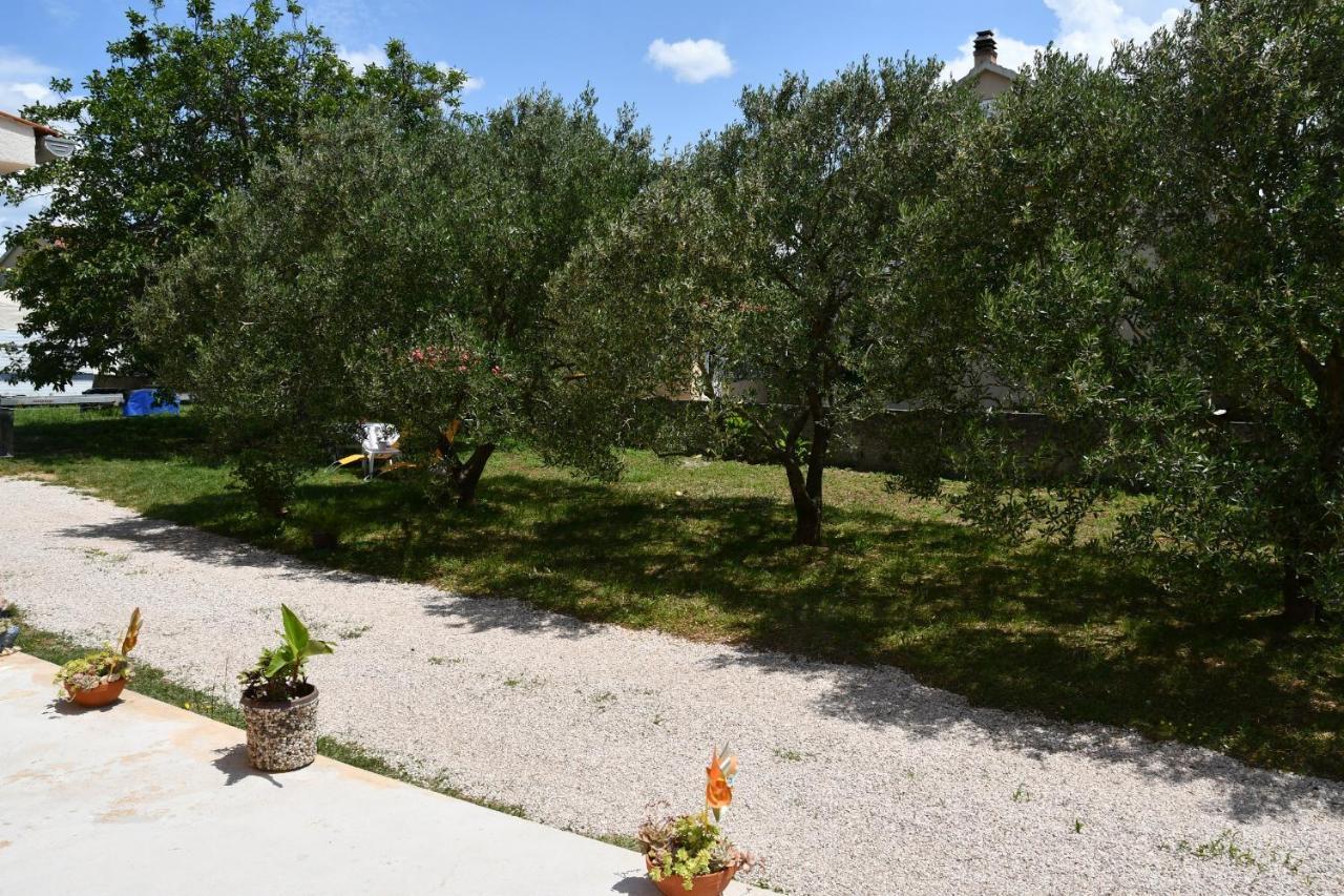 Apartmani Joja Biograd Na Moru Luaran gambar