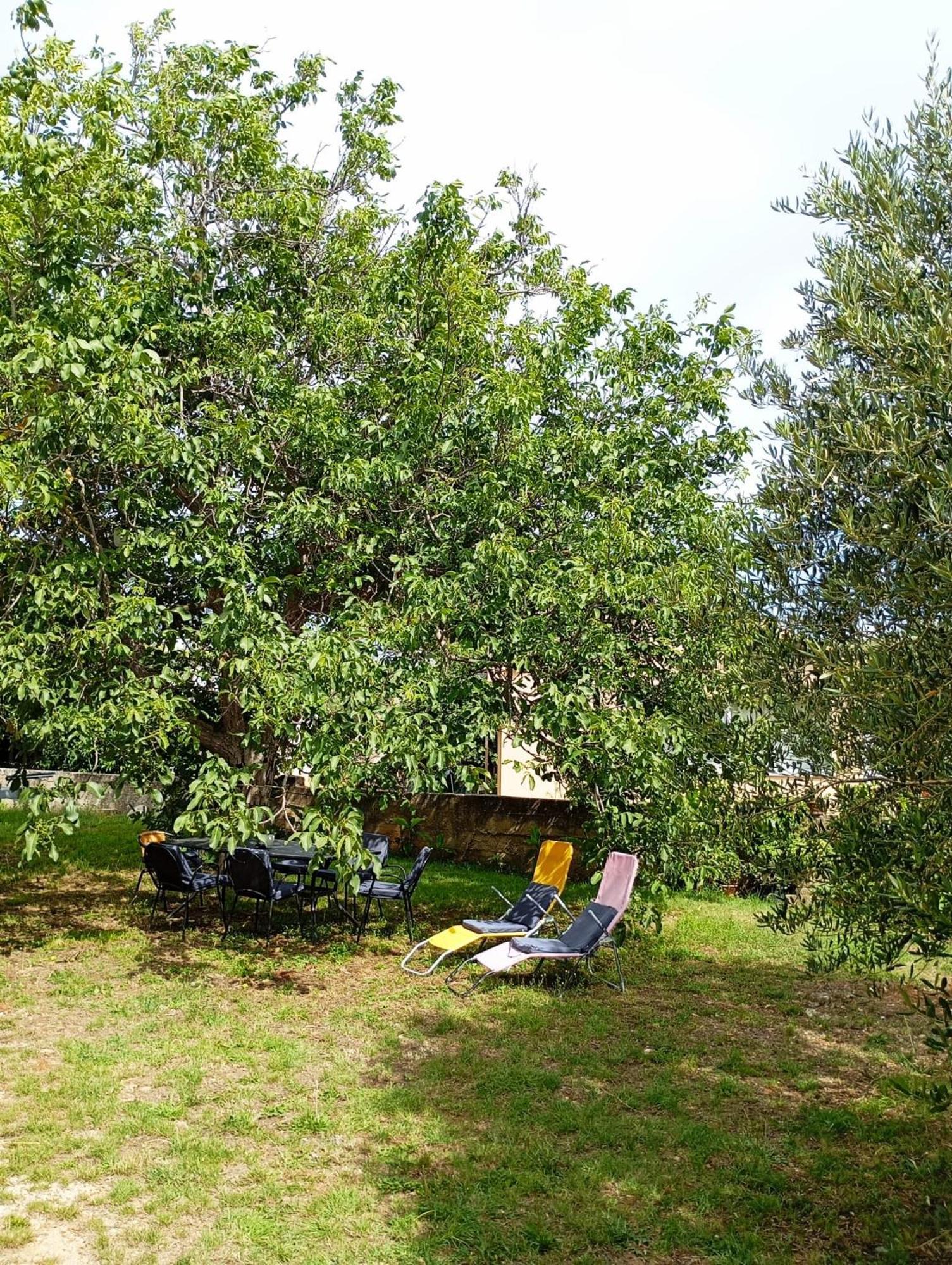 Apartmani Joja Biograd Na Moru Luaran gambar